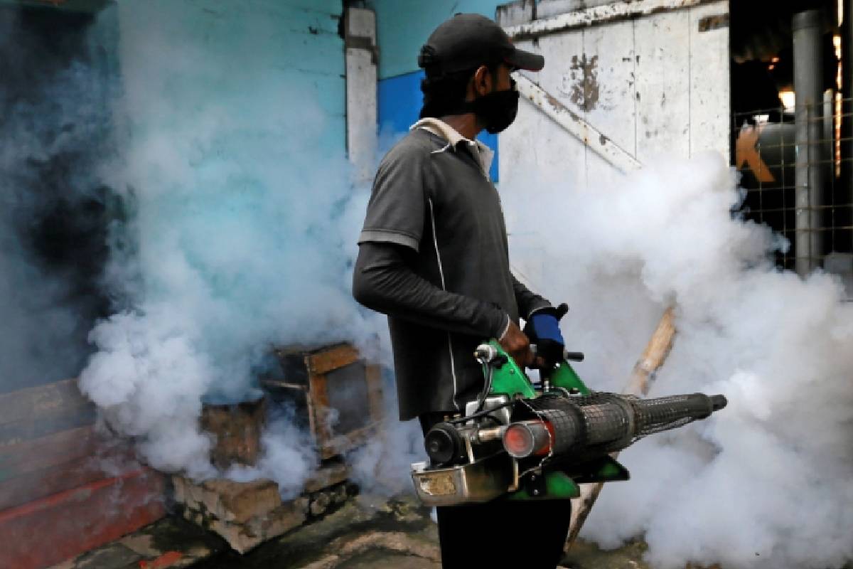இலங்கையில் தீவிரமடையும் டெங்குதொற்று - நோயாளர்களின் எண்ணிக்கை 83 ஆயிரமாக அதிகரிப்பு | Sri Lanka Dengue Cases Rise To 83 000
