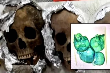 விமான நிலையத்தில் அதிகாரிகளை ஓடவிட்ட பொதி! உள்ளே பார்த்ததும் நடுங்கி போன நெட்டிசன்கள்