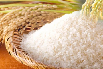 සහල් ඇත්තටම ලංකාවේ හිඟ වෙලා ද - කෘෂිකර්ම අමාත්‍යවරයාගෙන් විශේෂ ප්‍රකාශයක්..