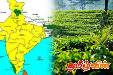 தேயிலைத்துறையில் இலங்கையை முந்திச்சென்ற இந்தியா