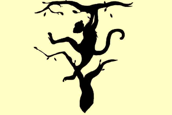 படத்தில் இருக்கும் இரண்டு விலங்குகளில் நீங்கள் முதல் பார்த்தது எதை? | Which Of The Two Animals Did You See First