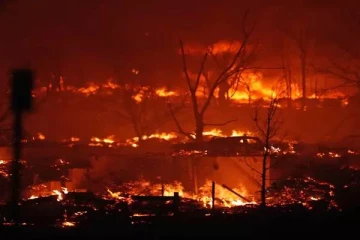 அமெரிக்காவில் பயங்கர காட்டுத் தீ! எரிந்து சாம்பலாகிய 1000-க்கும் மேற்பட்ட வீடுகள்