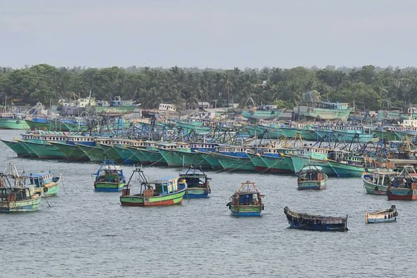 கடற்றொழிலாளர்களிள் விடுதலையை வலியுறுத்தி தமிழக கடற்றொழிலாளர்கள் போராட்டம் | Tamil Nadu Fishermen Protest Demanding Freedom