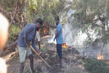 யாழ்ப்பாணம் மணல்காடு சவுக்கம் காட்டில் பற்றியது தீ