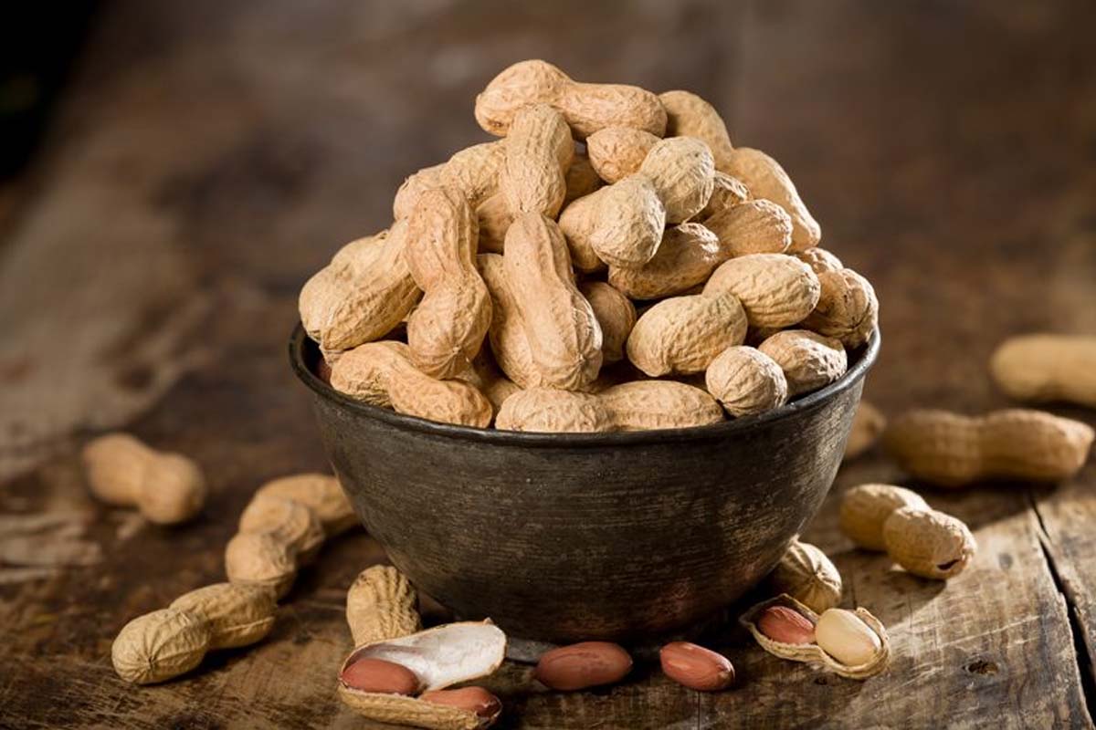 வேர்க்கடலையை யாரெல்லாம் சாப்பிடக்கூடாது? | Which Person Avoid Peanuts Do You Know Reason வேர்க்கடலையை யாரெல்லாம் சாப்பிடக்கூடாது? | Which Person Avoid Peanuts Do You Know Reason