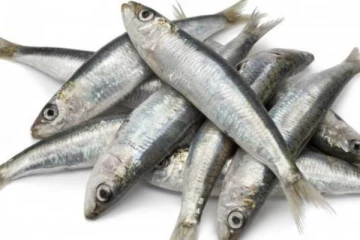 மாரடைப்பு வருவதை தடுக்கும் முக்கியமான 5 மீன்கள்