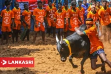 உலக புகழ்பெற்ற ஜல்லிக்கட்டு போட்டிகள் தொடங்கியது- நேரலை வீடியோ காட்சிகள்