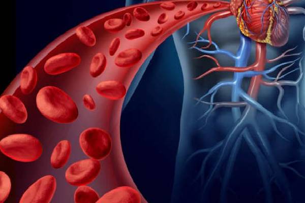 இரத்தத்திற்கு ஏன் சிவப்பு நிறம் தெரியுமா? அறிவியல் ரகசியம் | What Is The Reason Why Blood Is Red இரத்தத்திற்கு ஏன் சிவப்பு நிறம் தெரியுமா? அறிவியல் ரகசியம் | What Is The Reason Why Blood Is Red