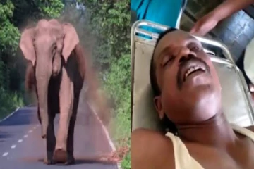 ரோந்து சென்ற வேட்டை தடுப்பு காவலர்களை யானை துரத்தியதில் ஒருவர் உயிரிழப்பு