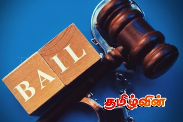 காப்புறுதி நிறுவனம் ஒன்றின் பிரதம நிறைவேற்று அதிகாரிக்கு பிணை