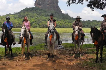 අක්කර 5ක අශ්වයන් බෝ කිරීමේ සැලසුමක්.