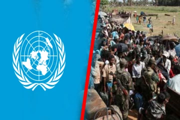 யுத்த கால பாலியல் வன்முறைகள்; பகிரங்கமாக மன்னிப்பு கோர வேண்டும்; வலியுறுத்தும் ஐ.நா.