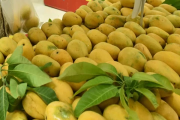 பாகிஸ்தான் வழங்கிய மாம்பழங்களை ஏற்க மறுத்த இலங்கை