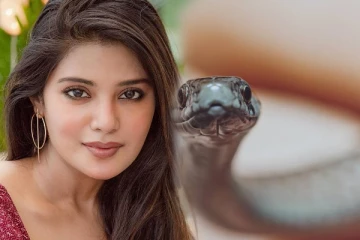 ஒரே ஒரு துளி பாம்பு விஷம் இருக்கா? இளமை மாறாத அழகு கிடைக்கும்...அதிர வைத்த குறிப்புகள்