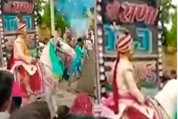 திருமண ஊர்வலத்தில் மாப்பிள்ளையுடன் 4 கி.மீ ஓடிய குதிரை! அலண்டு போன உறவினர்கள்... இறுதியில் என்ன நடந்தது தெரியுமா?