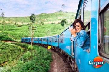 අද ඉඳලා ඇල්ල බලන්න යන අයට ඔන්න සුබ ආරංචියක්