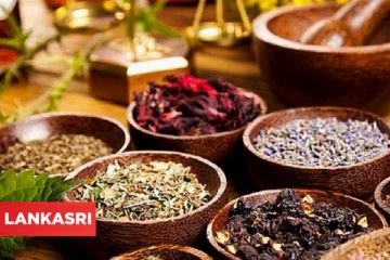 உடலில் ஏற்படும் சின்ன சின்ன நோய்களுக்கு தீர்வு தரும் அற்புத வீட்டு வைத்திய குறிப்புகள் இதோ!