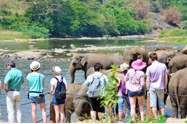 வெளிநாட்டு சுற்றுலாப் பயணிகளுக்கு விசேட சலுகை! | Special Offer For Foreign Tourists