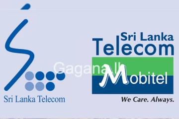 ටෙලිකොම් හා මොබිටෙල් වල වටිනාකම මෙන් නව ගුණයක් e Visa වංචාව සිදු වූ හැටි.