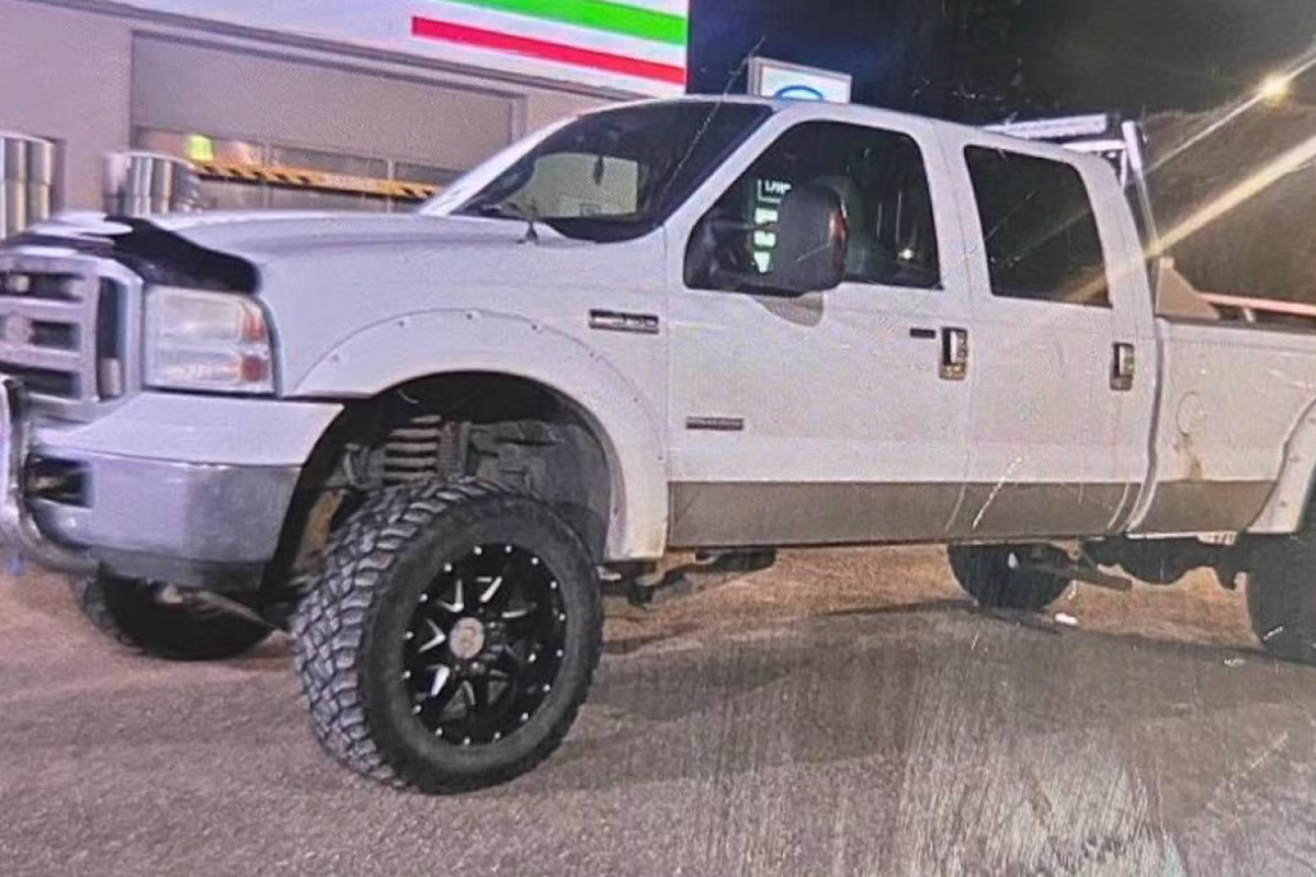 மயில் குஞ்சுகளுடன் களவாடப்பட்ட வாகனம் ; பொலிஸார் வலைவீச்சு | Truck With 2 Peacocks Inside Stolen In Stony