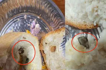 யாழில் பாண் வாங்கியவருக்கு காத்திருந்த அதிர்ச்சி