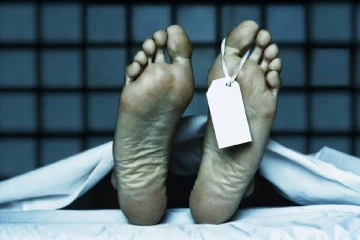 කන්න දෙන්න ගිය වෙලාවේ හීලෑ අලියෙකු පහරදීමෙන් පුද්ගලයෙකු ජීවිතක්ෂයට