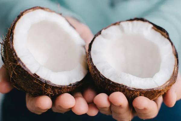 உடைத்த தேங்காய் இப்படி சீக்கரம் கெட்டு போகுதா? பல நாள் கெடாம இருக்க டிப்ஸ் | Tips To Prevent Coconut From Spoiling