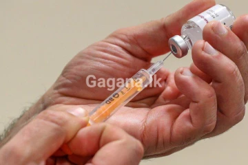 එන්නතකින් පසු පාසල් සිසුන් පිරිසක් හදිසියේම රෝහල් ගත කෙරේ..!