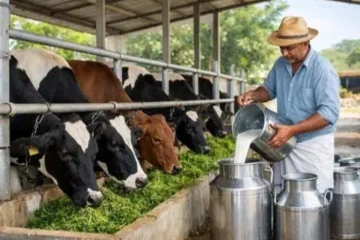 இலங்கையின் பால் பண்ணையாளர்களுக்கு உலக வங்கியின் புதிய திட்டம்