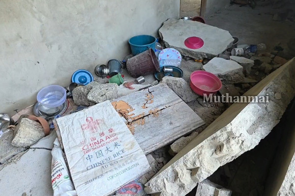 திருகோணமலையில் தொடரும் காட்டு யானைகளின் அட்டகாசம்! | Wild Elephants Attack In Trincomalee