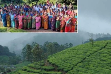 மாஞ்சோலை தேயிலை தோட்டத்தை ஏற்க மறுத்த தமிழக அரசு!