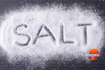 ආනයනය කරපු ලුණුවල ලොකු ප්‍රශ්නයක්