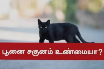 பூனை குறுக்கே போனால் கெட்ட சகுனமா ?