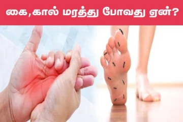 கை,கால் மரத்து போவது ஏன்னு தெரியுமா? இந்த உணவுகள் தீர்வு கொடுக்கும்