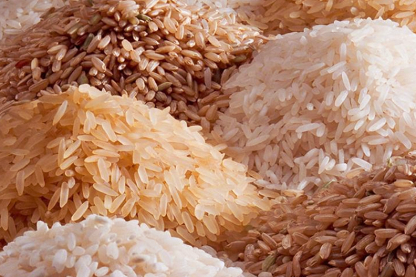 ஒரு கிலோ அரிசி 13 ஆயிரம் - எங்கணு தெரியுமா? அந்த அரிசியில் அப்படி என்ன இருக்கு? | Worlds Most Expensive Rice Cost And Grown Detail ஒரு கிலோ அரிசி 13 ஆயிரம் - எங்கணு தெரியுமா? அந்த அரிசியில் அப்படி என்ன இருக்கு? | Worlds Most Expensive Rice Cost And Grown Detail