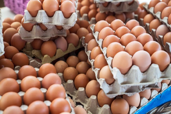 முட்டையால் எழுந்துள்ள சிக்கல் - நிறுத்தப்பட்ட வியாபாரம் | Egg Price Crisis