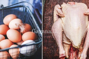 මෙරට කුකුළු මස් හා බිත්තර නිෂ්පාදකයින්ට බඩේ පහර. - ඉන්දියාවේ ප්‍රකට සමාගම් 2ක් ලංකාවට.