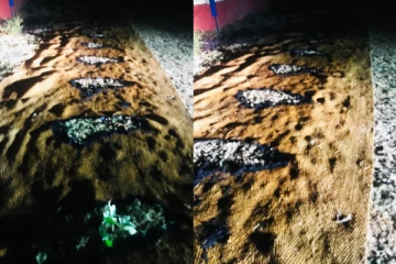 மெக்கெய்சர் விளையாட்டு அரங்கில் தீ விபத்து