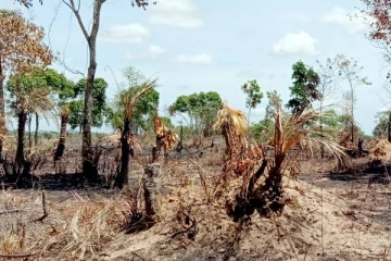 மட்டக்களப்பில் 8 ஏக்கர் நிலம் அழிக்கப்பட்டு ஆக்கிரமிப்பு நடவடிக்கை இடம்பெற்றுள்ளது...