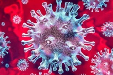 මෙරට කොරෝනා නීතියක් ලිහිල් කරයි..