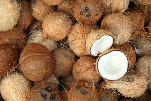 இலங்கையில் அதிகரித்த தேங்காய் விலை! | Coconut Price Increased In Sri Lanka