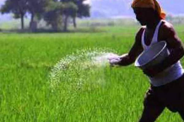 மேலும் 21,000 மெட்ரிக் தொன் உரம் நாட்டிற்கு | And 21 000 Metric Tonnes Of Fertilizer