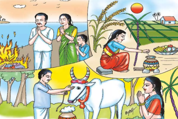 காணும் பொங்கல் அன்று கட்டாயம் இதை செய்யக்கூடாதாம் | Things We Should Do On Kaanum Pongal Festival