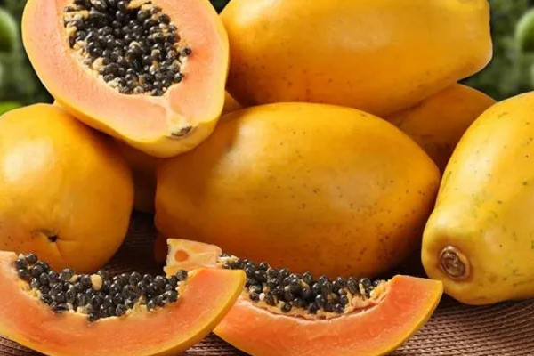 பலாப்பழத்துடன் இந்த பொருட்களை உட்கொள்ளவே கூடாதாம் | These Products Should Consumed With Jackfruit