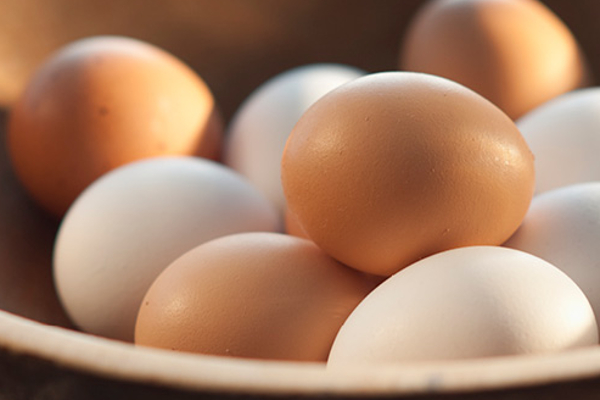 முட்டையின் புதிய விலை இதோ! | Here Is The New Price Of Eggs