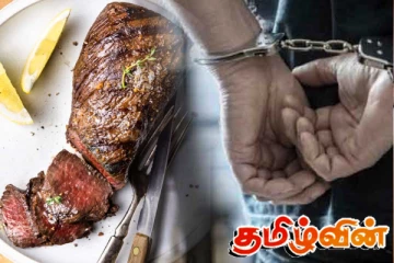 மான் இறைச்சி கடத்திய இருவர் கைது