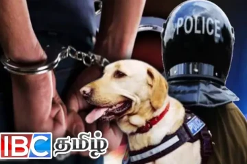 தமிழர் பகுதியில் மகனுக்கு போதைப்பொருள் வழங்கிய தாய் தந்தை...! மோப்ப நாயால் நேர்ந்த கதி