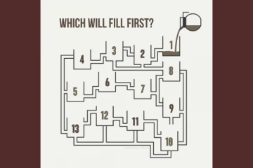 Brain Teaser Maths: நுணுக்கமாக யோசித்தால் கண்டுபிடிக்கலாம்..இதில் எது முதலில் நிரம்பும்?