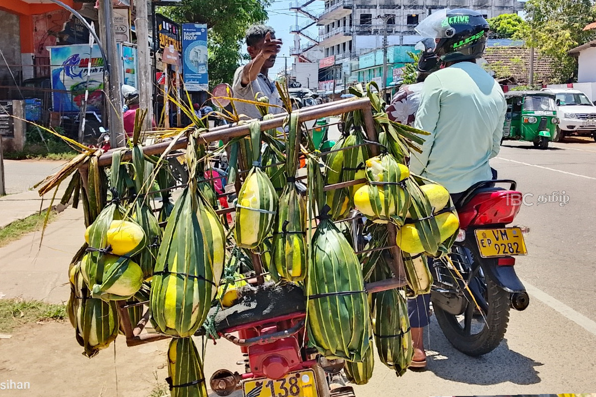 சூட்டை தணிக்கும் வெள்ளரிப்பழம்! விற்பனை வீதம் அமோகம் | Cucumber To Relieve Extreme Heat