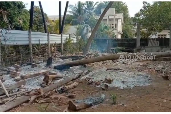 நல்லண்டை பத்திரகாளி அம்மன் ஆலயத்தில் குவிக்கப்பட்டிருந்த விறகு மீது விசமிகள் தீ வைப்பு | Fire Set On Pile Of Firewood Piled Up In Temple
